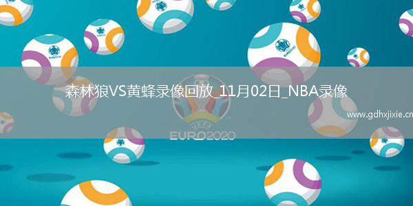 2025年11月2日NBA常规赛森林狼vs黄蜂