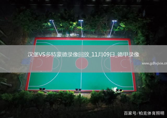 11月09日德甲第10轮汉堡vs多特蒙德全场录像