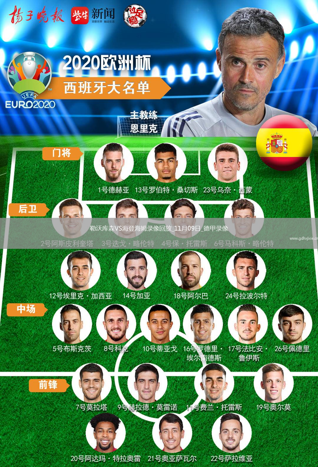 11月09日德甲第10轮勒沃库森vs海登海姆全场录像