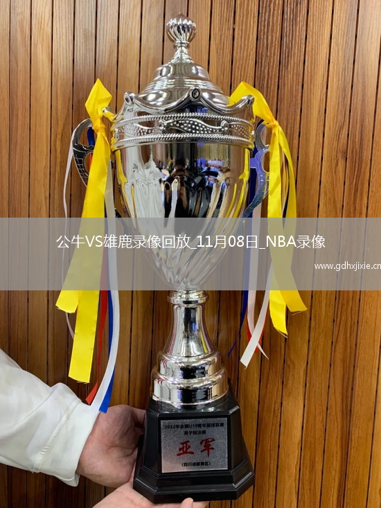 2025年11月8日NBA杯小组赛公牛vs雄鹿