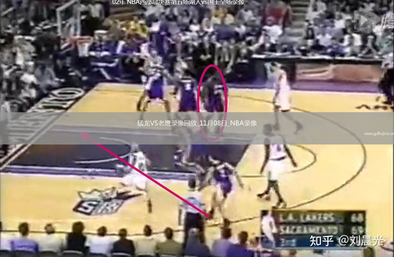 2025年11月8日NBA杯小组赛猛龙vs老鹰