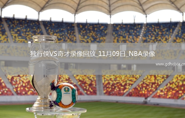 2025年11月9日NBA常规赛独行侠vs奇才