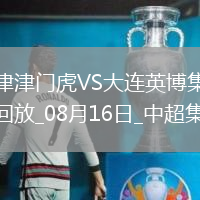 中超第21轮天津津门虎vs大连英博进球视频